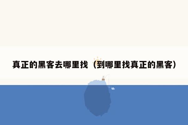 真正的黑客去哪里找（到哪里找真正的黑客）