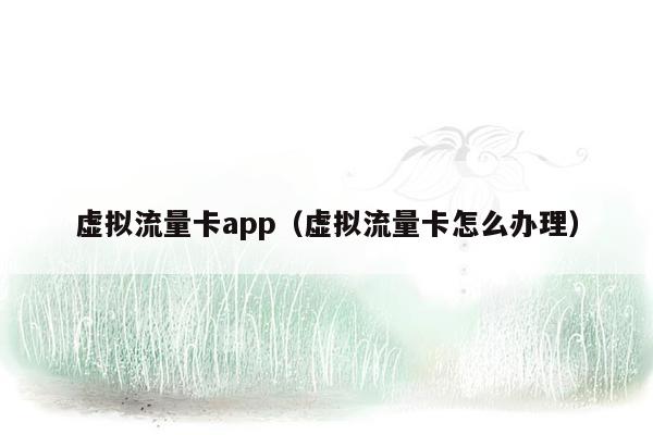 虚拟流量卡app（虚拟流量卡怎么办理）