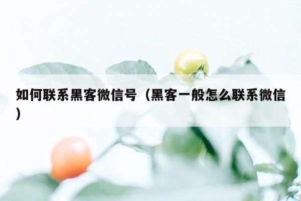 如何联系黑客微信号（黑客一般怎么联系微信）