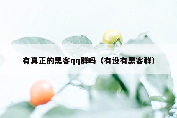 有真正的黑客qq群吗（有没有黑客群）