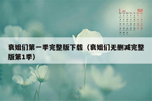 衰姐们第一季完整版下载（衰姐们无删减完整版第1季）