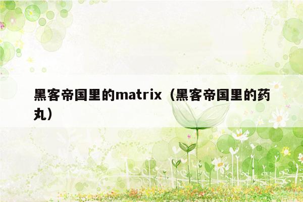 黑客帝国里的matrix（黑客帝国里的药丸）