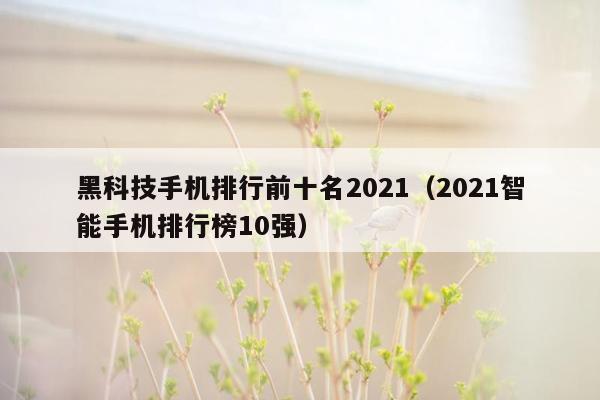 黑科技手机排行前十名2021（2021智能手机排行榜10强）