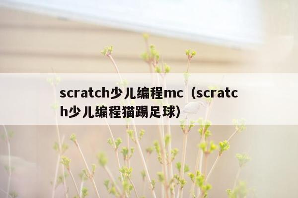 scratch少儿编程mc（scratch少儿编程猫踢足球）