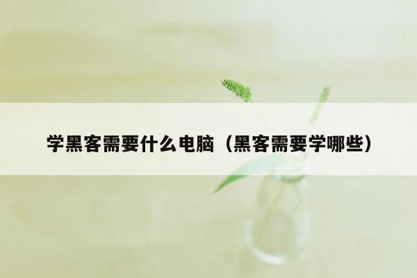 学黑客需要什么电脑（黑客需要学哪些）