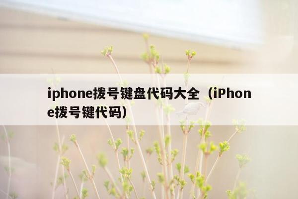 iphone拨号键盘代码大全（iPhone拨号键代码）