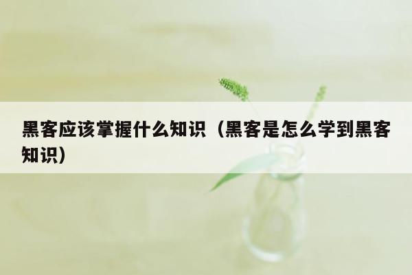 黑客应该掌握什么知识（黑客是怎么学到黑客知识）