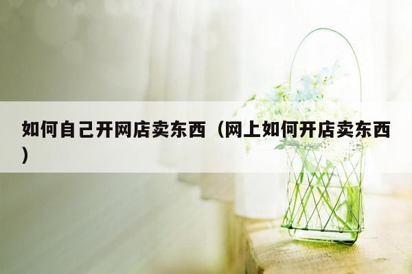 如何自己开网店卖东西（网上如何开店卖东西）