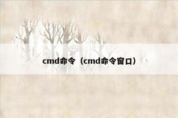 cmd命令（cmd命令窗口）