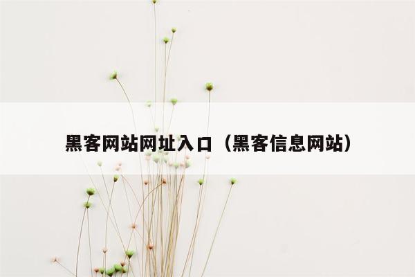 黑客网站网址入口（黑客信息网站）