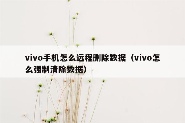 vivo手机怎么远程删除数据（vivo怎么强制清除数据）