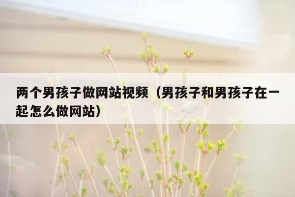 两个男孩子做网站视频（男孩子和男孩子在一起怎么做网站）