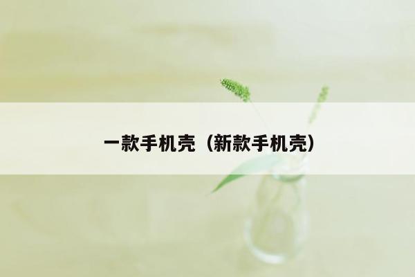 一款手机壳（新款手机壳）