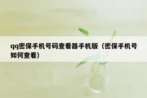 qq密保手机号码查看器手机版（密保手机号如何查看）