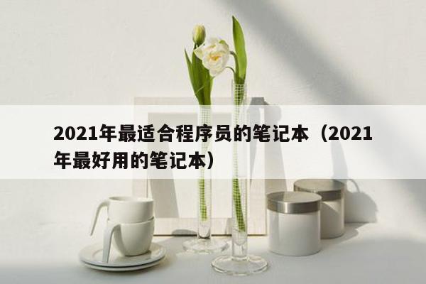 2021年最适合程序员的笔记本（2021年最好用的笔记本）