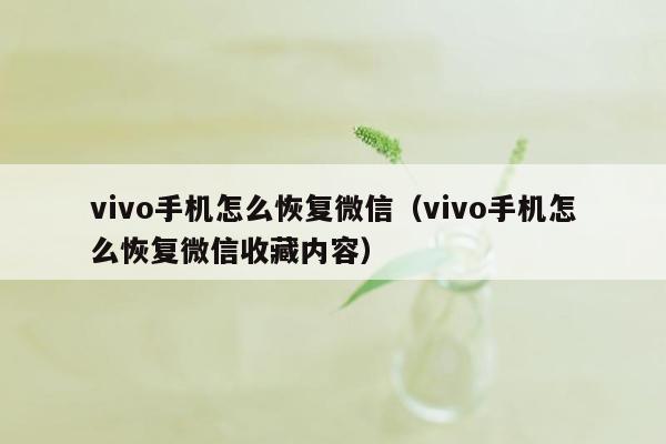 vivo手机怎么恢复微信（vivo手机怎么恢复微信收藏内容）