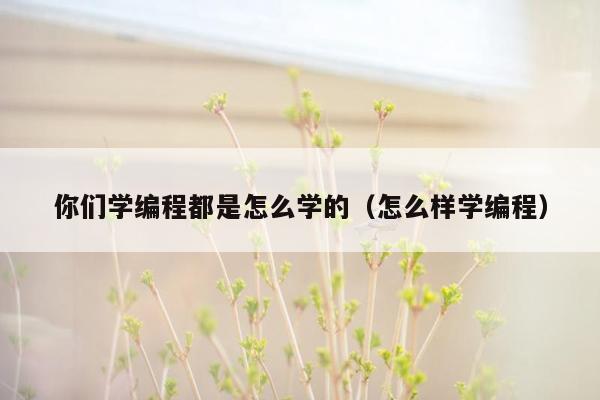 你们学编程都是怎么学的（怎么样学编程）