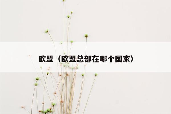 欧盟（欧盟总部在哪个国家）