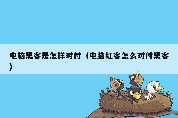 电脑黑客是怎样对付（电脑红客怎么对付黑客）