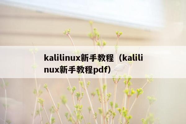 kalilinux新手教程（kalilinux新手教程pdf）