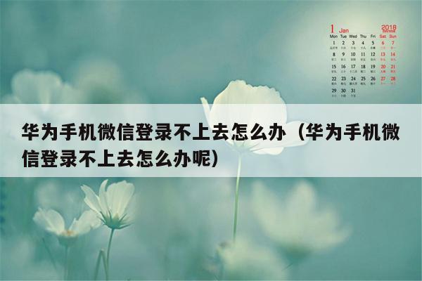 华为手机微信登录不上去怎么办（华为手机微信登录不上去怎么办呢）