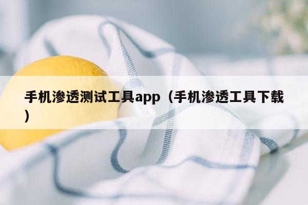 手机渗透测试工具app（手机渗透工具下载）