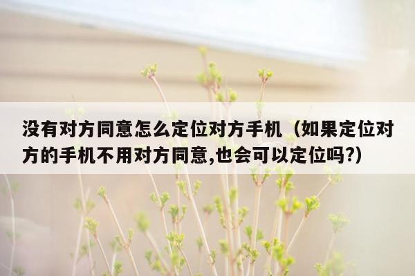 没有对方同意怎么定位对方手机（如果定位对方的手机不用对方同意,也会可以定位吗?）