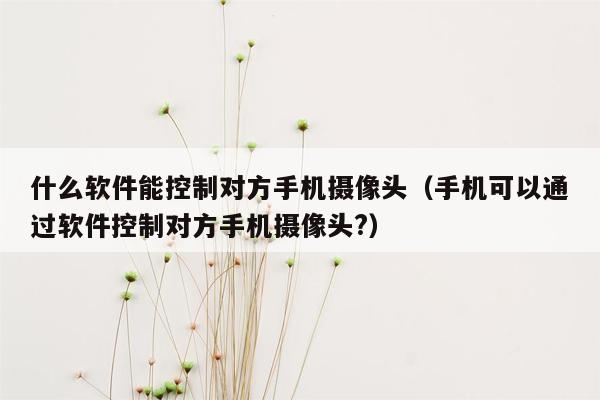 什么软件能控制对方手机摄像头（手机可以通过软件控制对方手机摄像头?）