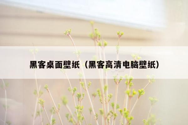 黑客桌面壁纸（黑客高清电脑壁纸）