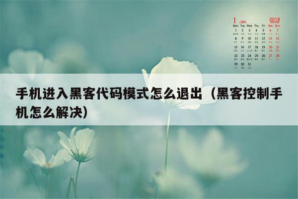 手机进入黑客代码模式怎么退出（黑客控制手机怎么解决）