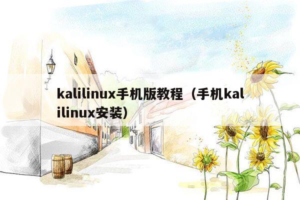 kalilinux手机版教程（手机kalilinux安装）