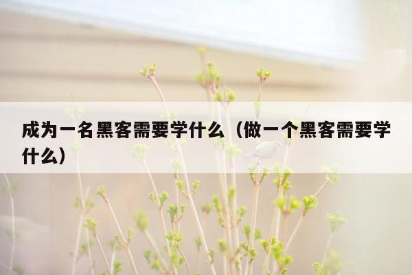 成为一名黑客需要学什么（做一个黑客需要学什么）