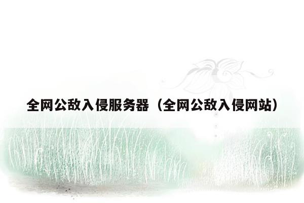 全网公敌入侵服务器（全网公敌入侵网站）