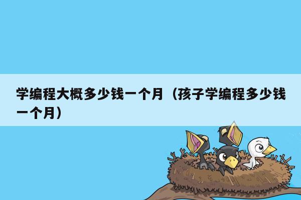 学编程大概多少钱一个月（孩子学编程多少钱一个月）