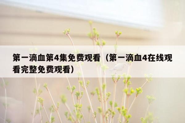 第一滴血第4集免费观看（第一滴血4在线观看完整免费观看）