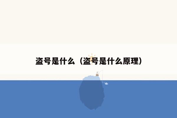 盗号是什么（盗号是什么原理）