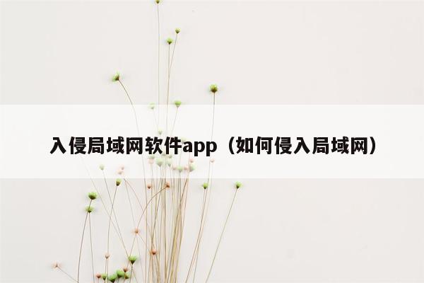 入侵局域网软件app（如何侵入局域网）