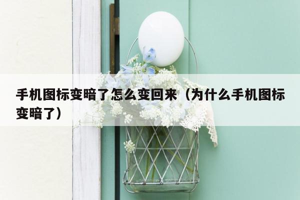 手机图标变暗了怎么变回来（为什么手机图标变暗了）