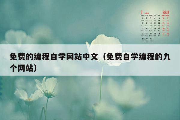 免费的编程自学网站中文（免费自学编程的九个网站）