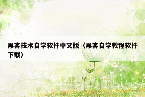 黑客技术自学软件中文版（黑客自学教程软件下载）