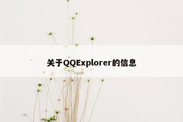 关于QQExplorer的信息