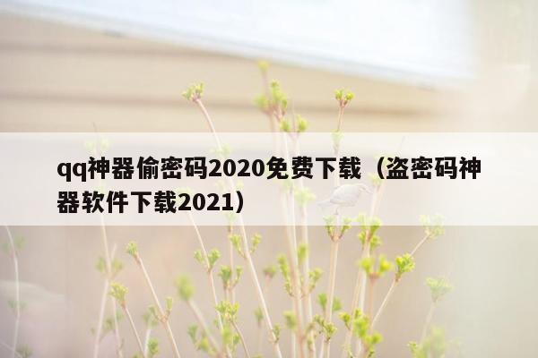 qq神器偷密码2020免费下载（盗密码神器软件下载2021）