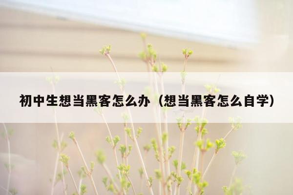 初中生想当黑客怎么办（想当黑客怎么自学）