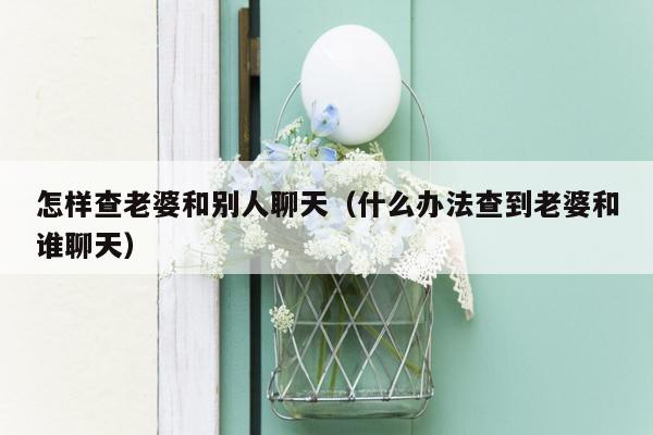 怎样查老婆和别人聊天（什么办法查到老婆和谁聊天）