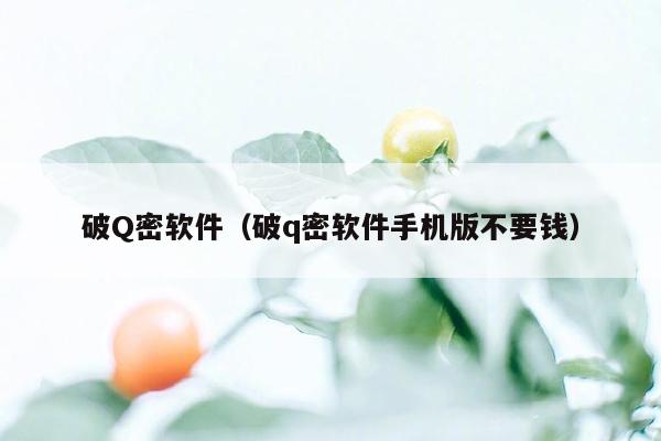 破Q密软件（破q密软件手机版不要钱）