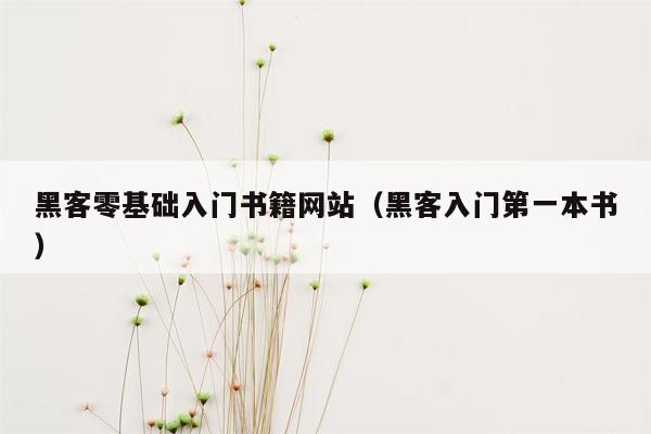 黑客零基础入门书籍网站（黑客入门第一本书）