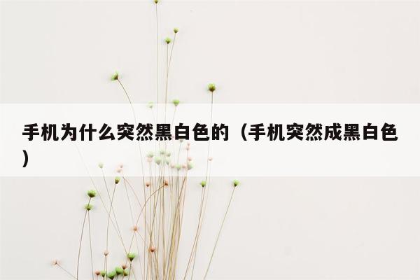 手机为什么突然黑白色的（手机突然成黑白色）