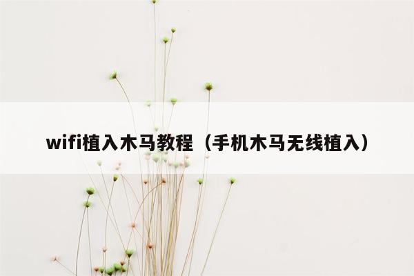 wifi植入木马教程（手机木马无线植入）