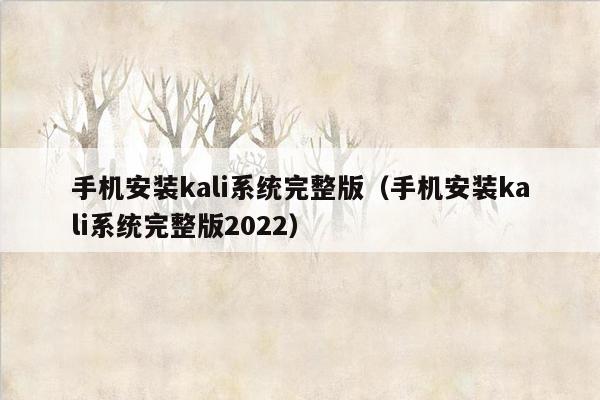 手机安装kali系统完整版（手机安装kali系统完整版2022）