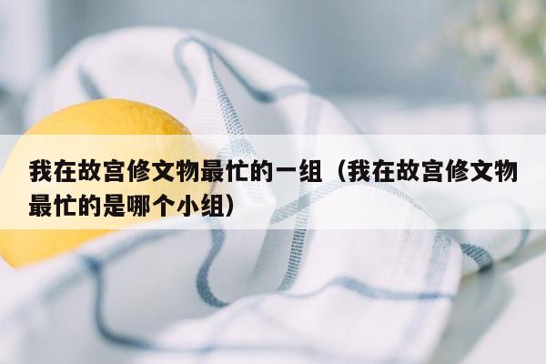 我在故宫修文物最忙的一组（我在故宫修文物最忙的是哪个小组）